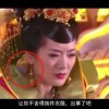 香港正版资料生肖卡